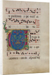 Decorated Initial V by Anonymous