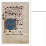 Decorated Initial V by Anonymous