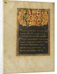 Ornamented Monogram VD by Anonymous