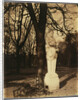 Versailles, Coin de Parc by Eugène Atget