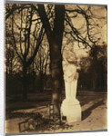 Versailles, Coin de Parc by Eugène Atget