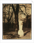 Versailles, Coin de Parc by Eugène Atget