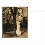 Versailles, Coin de Parc by Eugène Atget