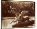 Grand Trianon, Dragon par Hardy by Eugène Atget