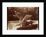 Grand Trianon, Dragon par Hardy by Eugène Atget