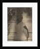 Portrait Study, Probably South Carolina or Louisiana by Doris Ulmann
