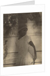 Portrait Study, Probably South Carolina or Louisiana by Doris Ulmann