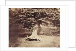 The Beech Tree by Gustave Le Gray