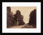Route de Chailly, Fontainebleau by Gustave Le Gray