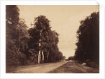 Route de Chailly, Fontainebleau by Gustave Le Gray