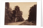 Route de Chailly, Fontainebleau by Gustave Le Gray