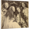 The Rosebud Garden of Girls by Julia Margaret Cameron