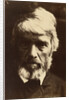 Thomas Carlyle by Julia Margaret Cameron