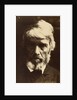 Thomas Carlyle by Julia Margaret Cameron