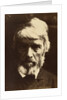 Thomas Carlyle by Julia Margaret Cameron