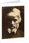 Thomas Carlyle by Julia Margaret Cameron