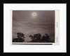 Solar Eclipse by Carleton Watkins