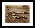 Field Where General Reynolds Fell, Gettysburg by Timothy H. O'Sullivan