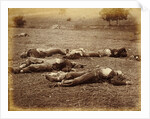 Field Where General Reynolds Fell, Gettysburg by Timothy H. O'Sullivan