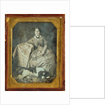 Portrait of a Seated Young Woman and Dog by Anonymous