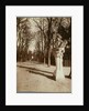 Versailles-Parc (The Park, Versailles) by Eugène Atget