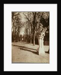 Versailles-Parc (The Park, Versailles) by Eugène Atget
