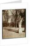 Versailles-Parc (The Park, Versailles) by Eugène Atget