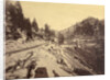 View on Lake Tahoe by Carleton Watkins