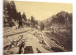 View on Lake Tahoe by Carleton Watkins