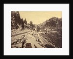 View on Lake Tahoe by Carleton Watkins