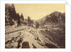 View on Lake Tahoe by Carleton Watkins