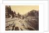 View on Lake Tahoe by Carleton Watkins