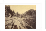View on Lake Tahoe by Carleton Watkins