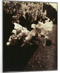 Lys (Lilies) by Eugène Atget