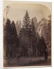 Cathedral Spires - Yo Semite by Carleton Watkins