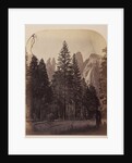 Cathedral Spires - Yo Semite by Carleton Watkins