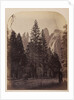Cathedral Spires - Yo Semite by Carleton Watkins