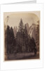 Cathedral Spires - Yo Semite by Carleton Watkins