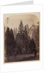 Cathedral Spires - Yo Semite by Carleton Watkins
