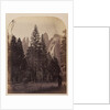 Cathedral Spires - Yo Semite by Carleton Watkins