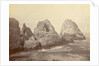 Sugarloaf Islands at Fisherman's Bay, Farallon Islands by Carleton Watkins