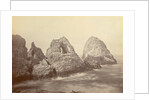 Sugarloaf Islands at Fisherman's Bay, Farallon Islands by Carleton Watkins