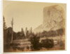 Tutucanula - El Capitan 3600 ft. Yo Semite by Carleton Watkins