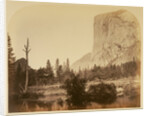 Tutucanula - El Capitan 3600 ft. Yo Semite by Carleton Watkins
