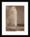 Old Faithful by William Henry Jackson