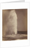 Old Faithful by William Henry Jackson