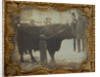 Four Men Posed with a Bull by Anonymous
