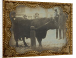 Four Men Posed with a Bull by Anonymous