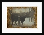 Four Men Posed with a Bull by Anonymous