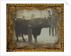 Four Men Posed with a Bull by Anonymous